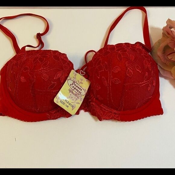 🌹Beaute express intimates sexy push up lace Bras - Picture 8 of 9